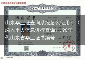 山东毕业证查询系统怎么使用？（输入个人信息进行查询）,90年代山东省毕业证书编号